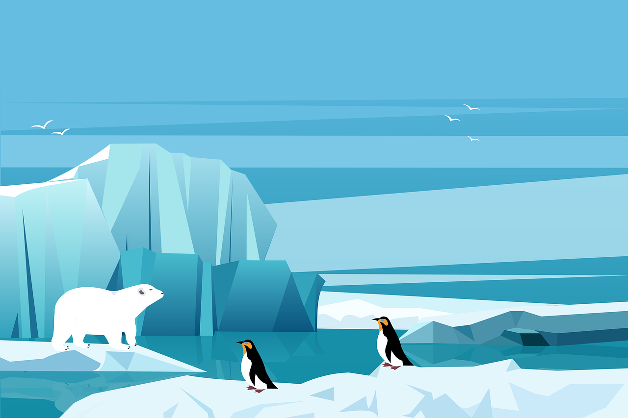冰川，企鹅，北极熊
